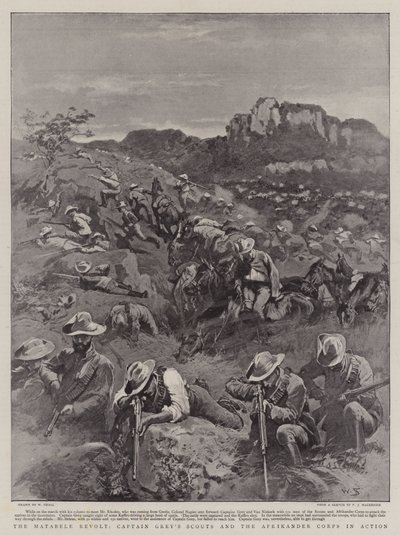 La Révolte des Matabele, Les Éclaireurs du Capitaine Grey et le Corps Afrikander en Action - William Small